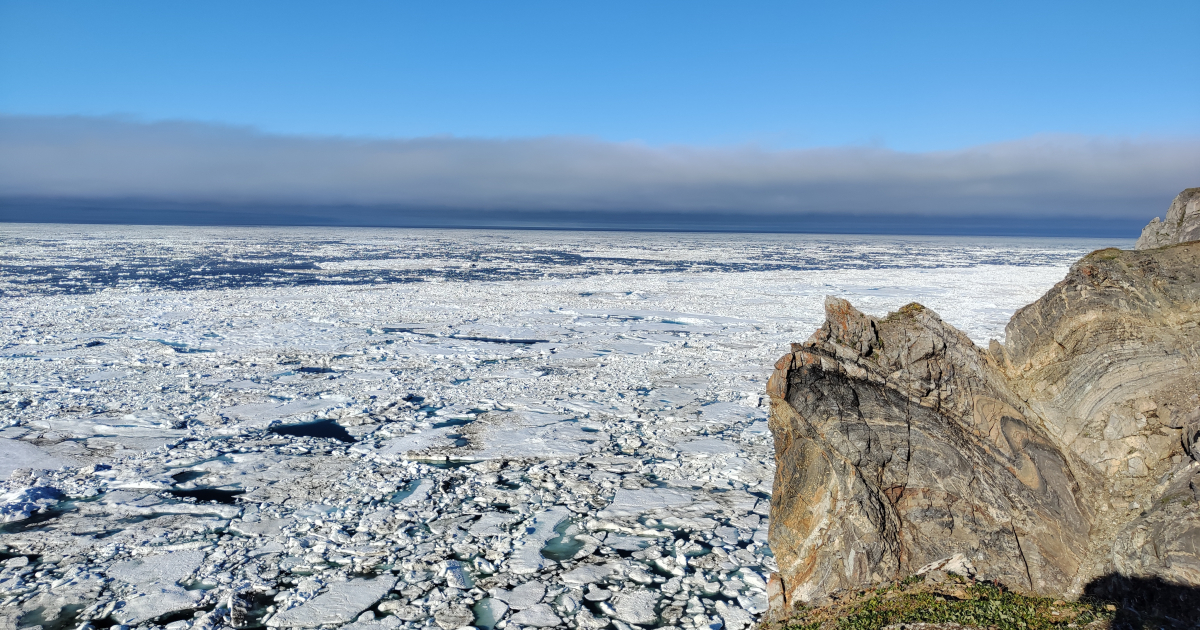 Льды Чукотского моря (с. Уэлен, 29 июля 2022 года)
