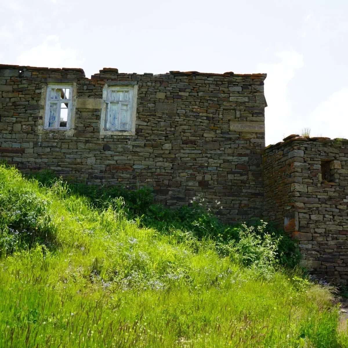 Амух