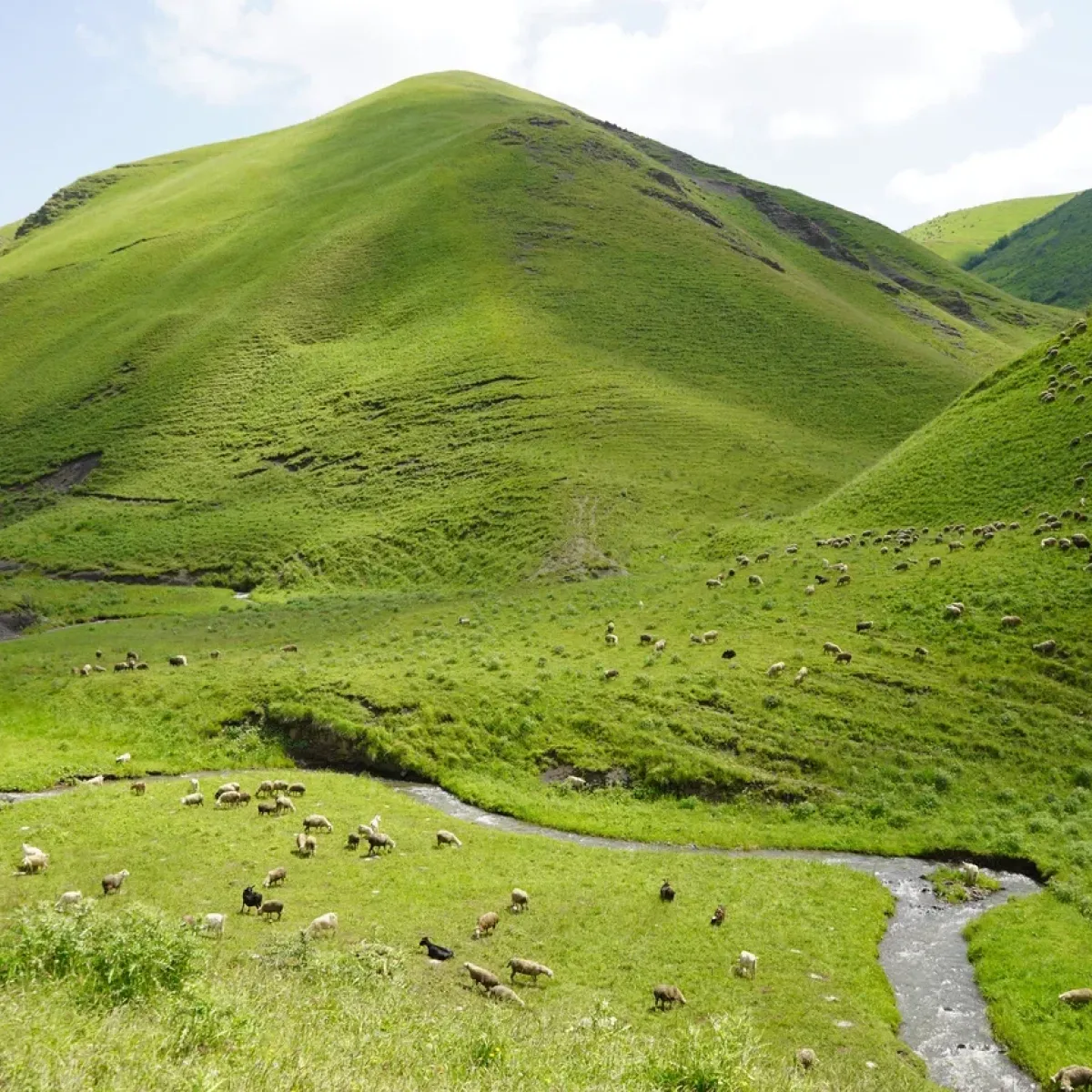 По пути в Амух