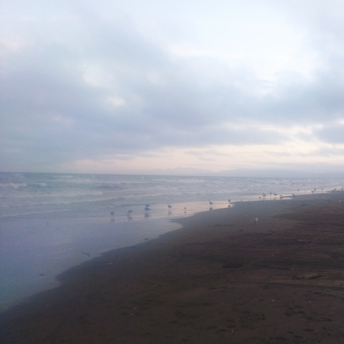 Залив Терпения