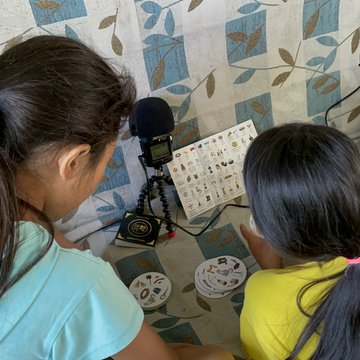 Знакомство с тувинской игрой «Шу-Де» (с. Тоора-Хем, Тоджинский район, 19 июля 2023 г.)