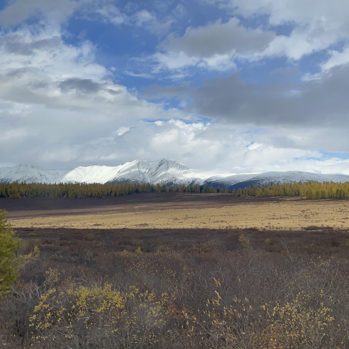 Дорога в Тожу (16 сентября 2024 г.)