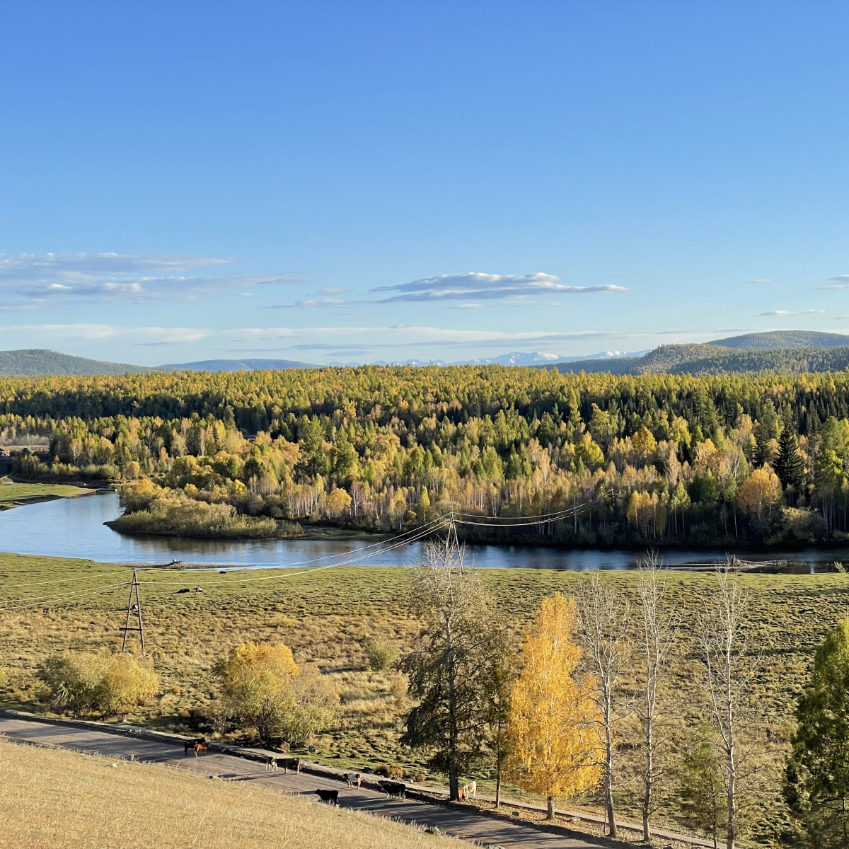 Вид на р. Тоора-Хем (с. Тоора-Хем, Тоджинский район, 21 сентября 2024 г.)