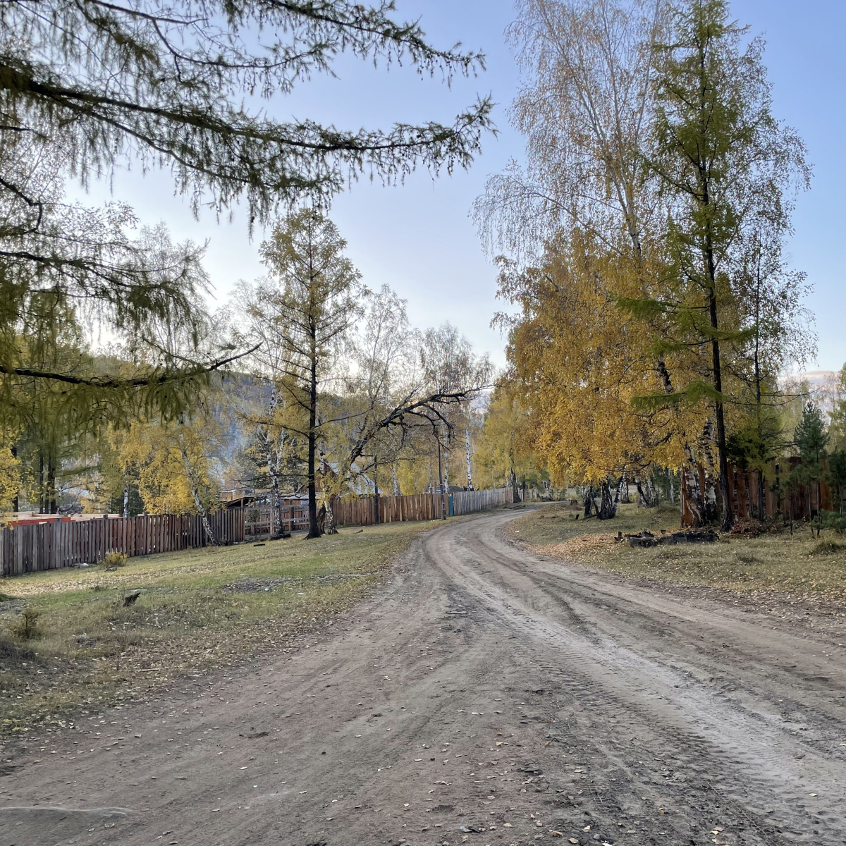 Развилка (с. Салдам, Тоджинский район, 21 сентября 2024 г.)